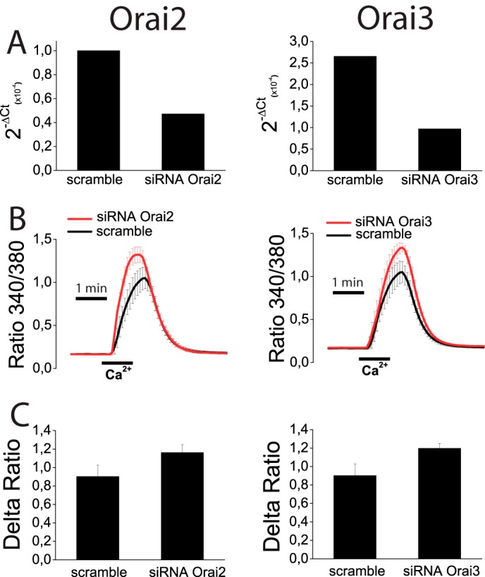 FIGURE 13.