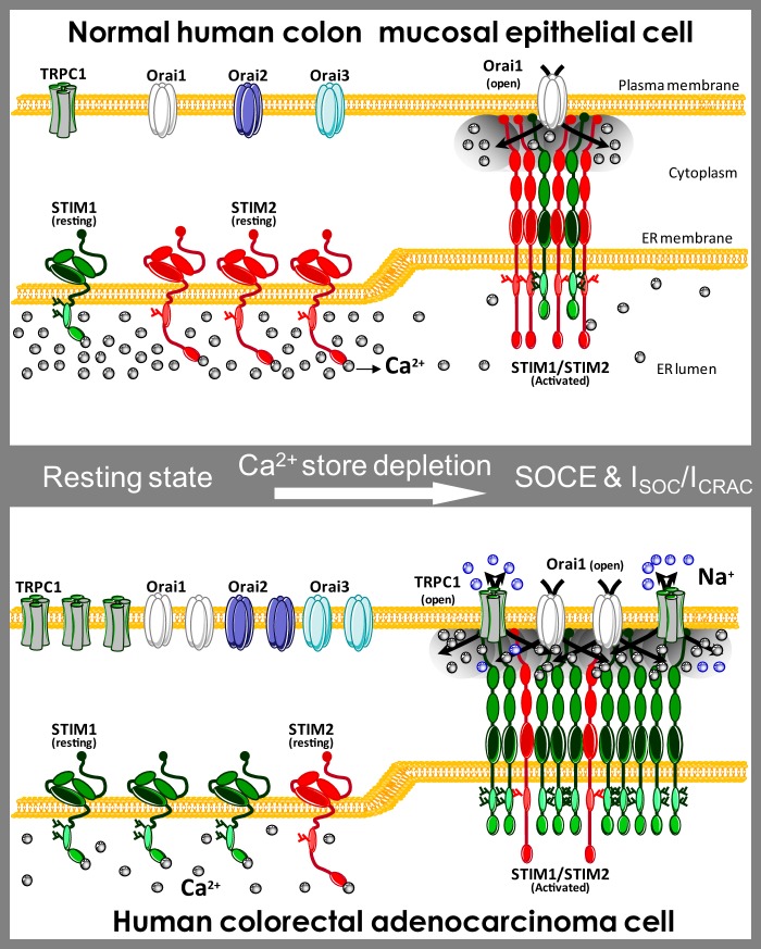 FIGURE 15.