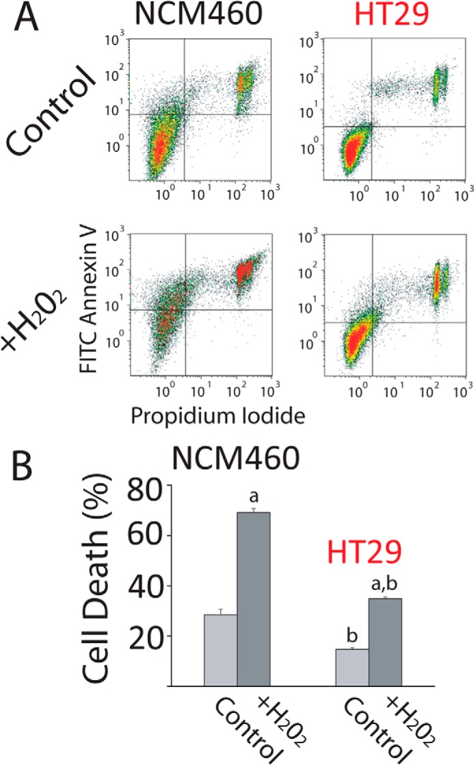 FIGURE 4.