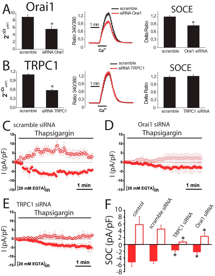 FIGURE 11.