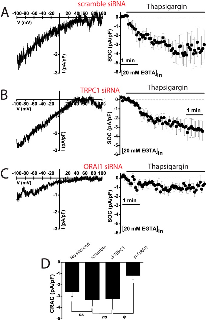 FIGURE 12.