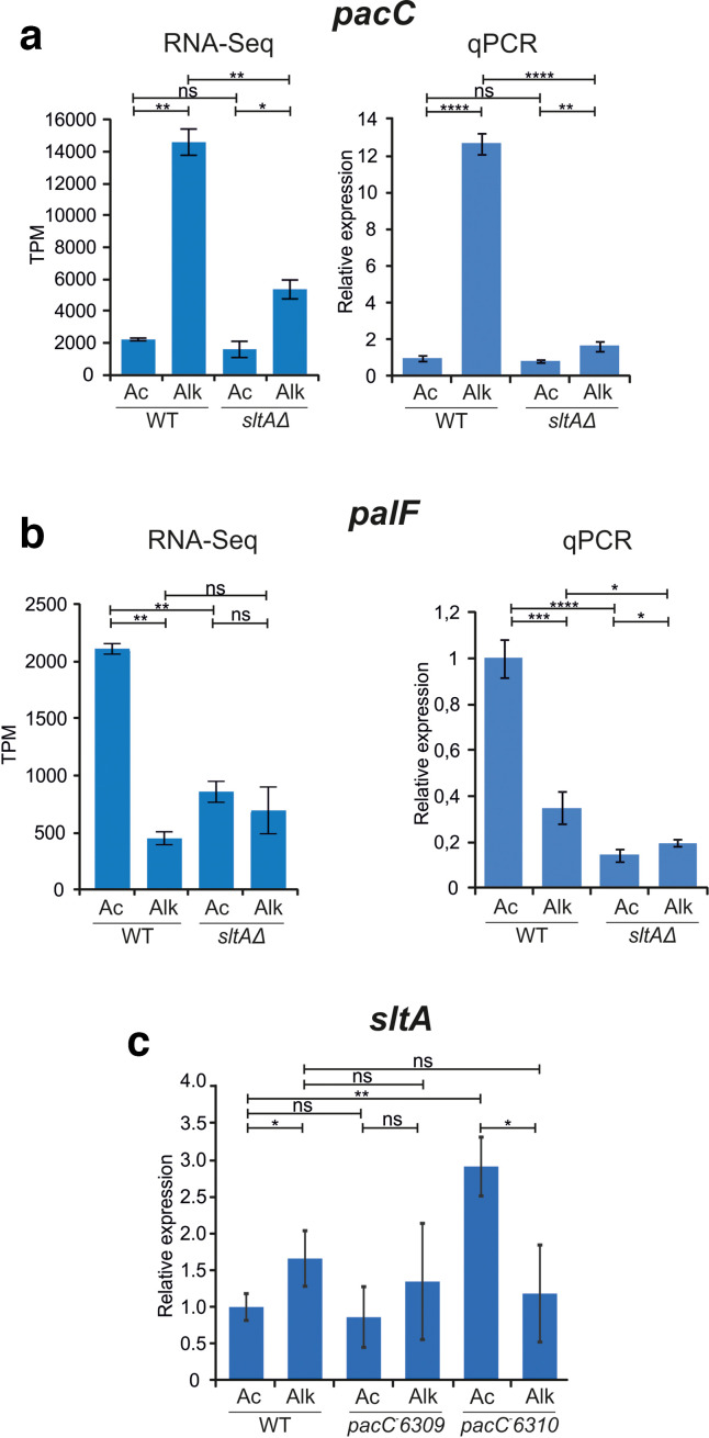 Fig. 7.