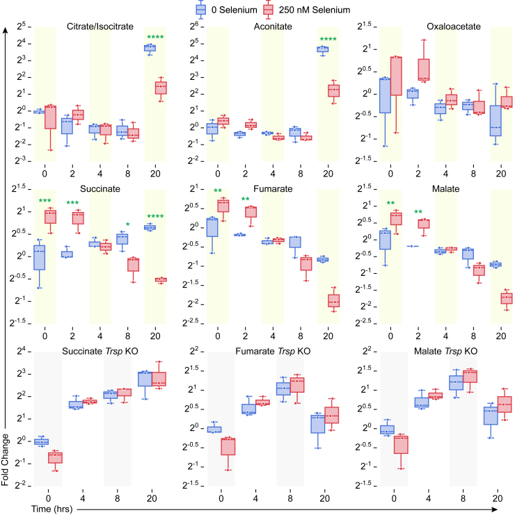 Figure 4