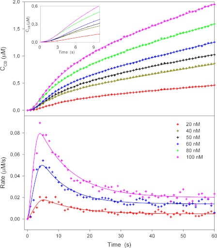 FIGURE 1.