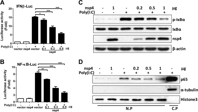 FIG 3