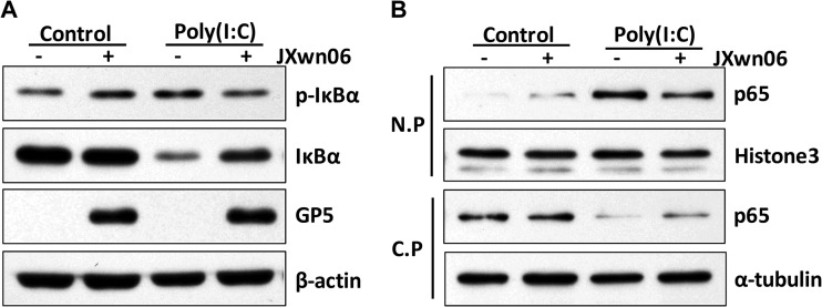 FIG 4