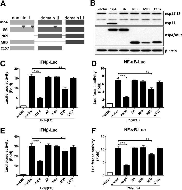 FIG 6