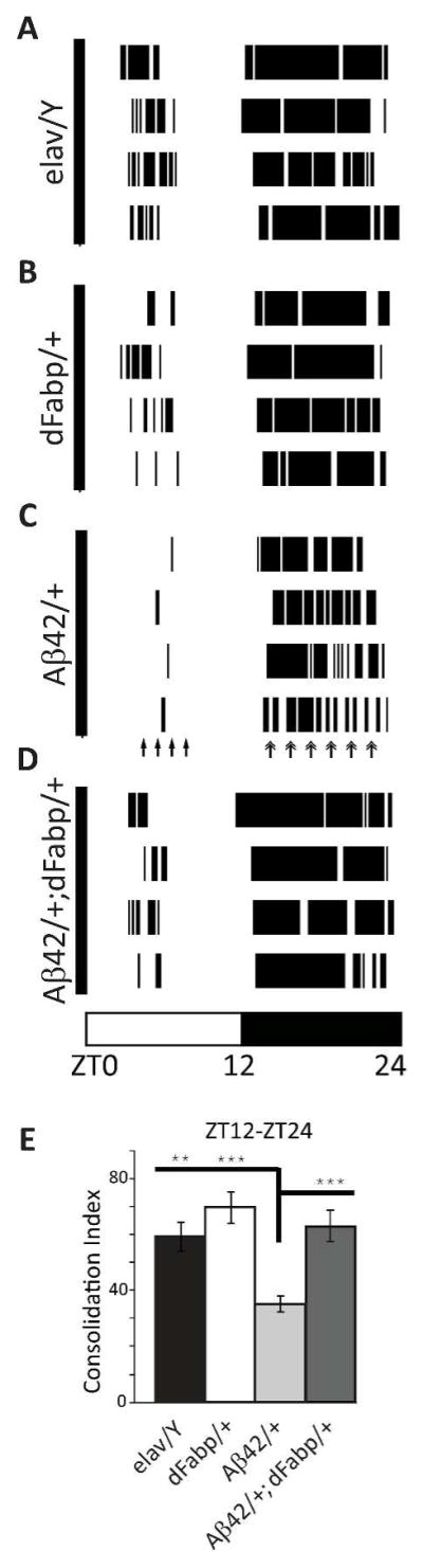 Fig. 9