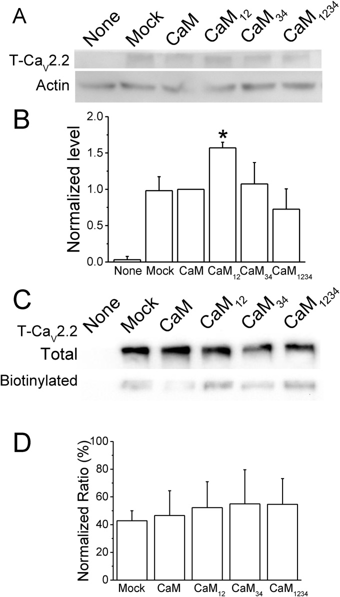 Fig. 6