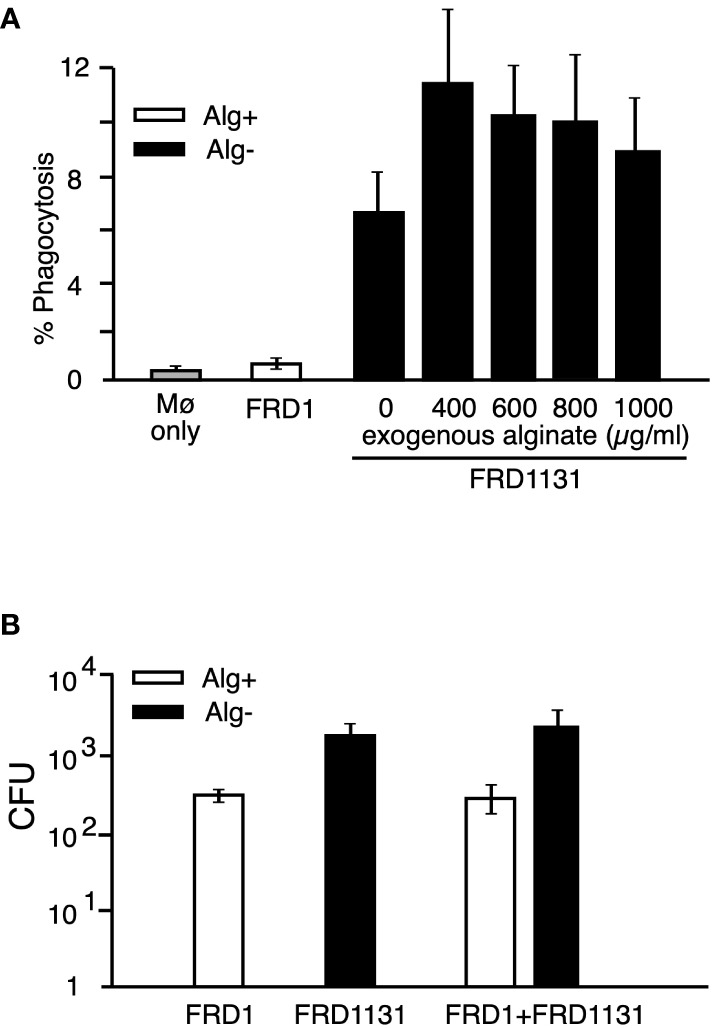 Figure 3