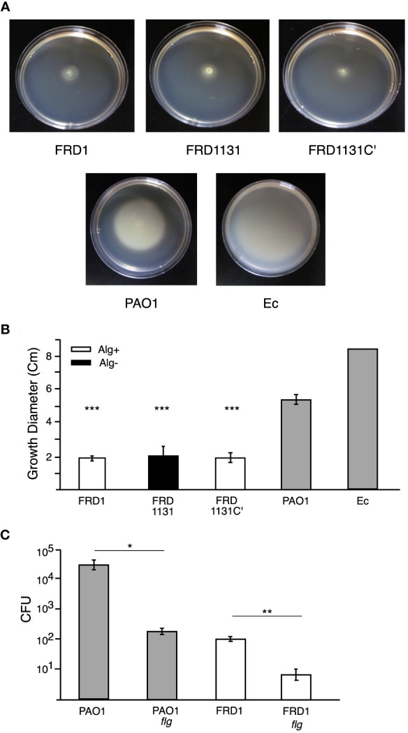 Figure 2