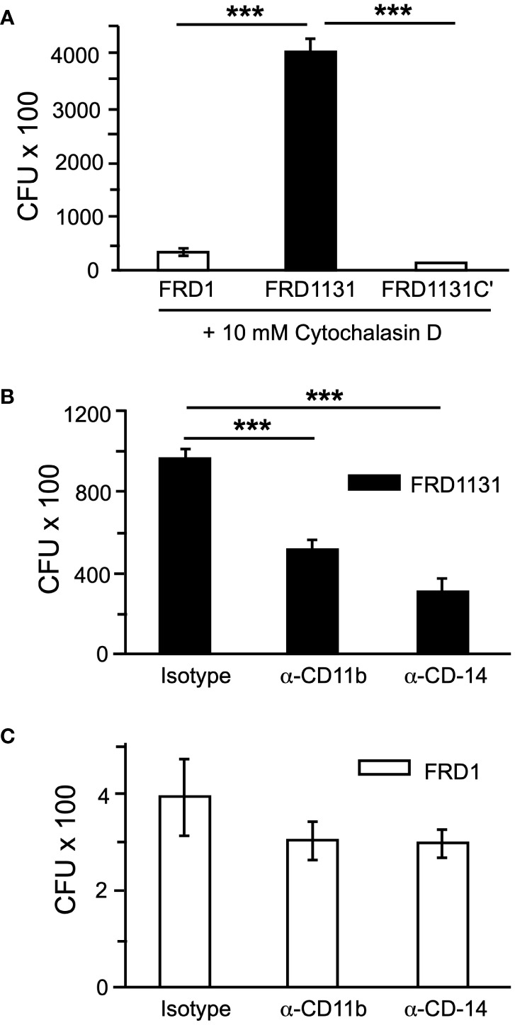 Figure 5