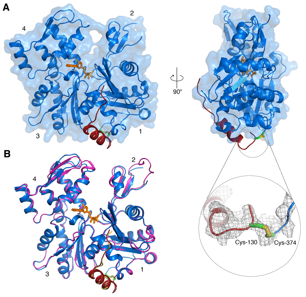 FIG. 1