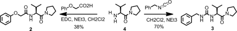 STRUCTURE 1.