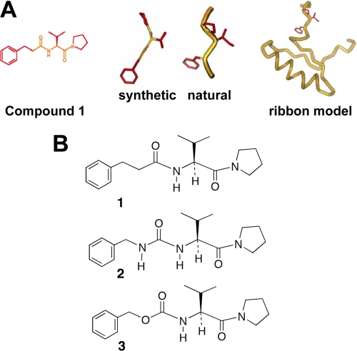 FIGURE 3.