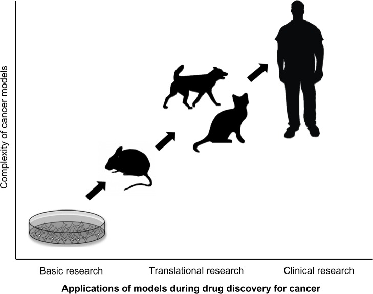 Animal models and therapeutic molecular targets of cancer: utility and ...