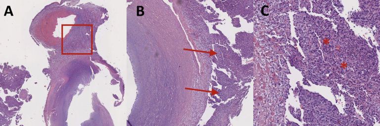 Figure 5