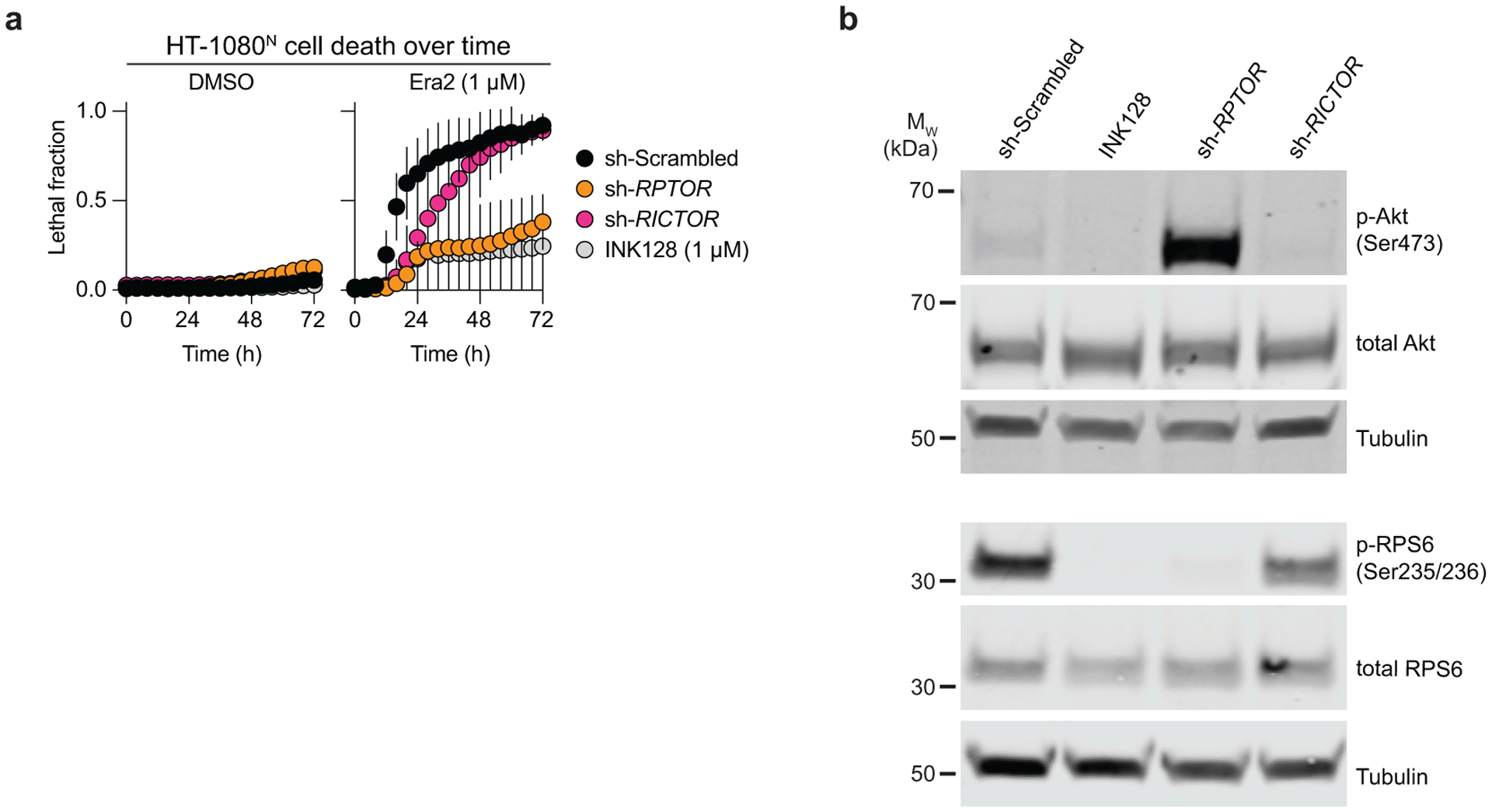 Extended Data Fig. 6