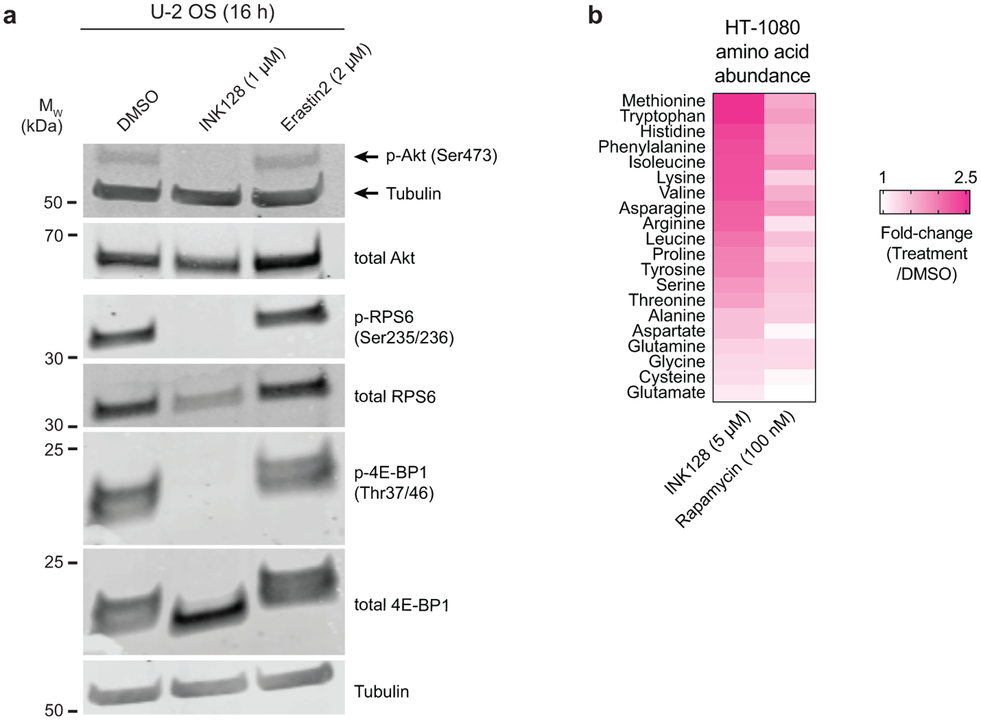 Extended Data Fig. 9