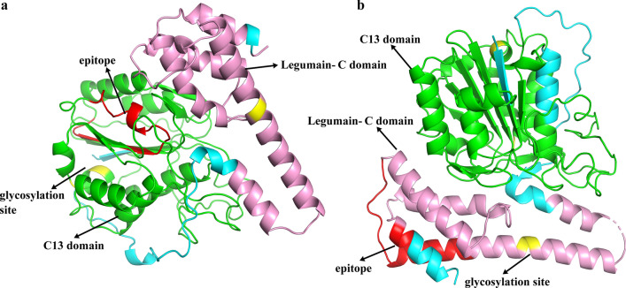 Fig. 2