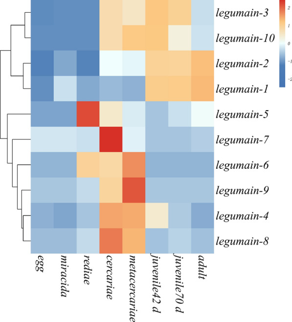 Fig. 1