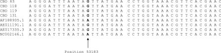 FIG. 4.