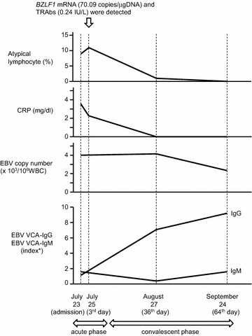 Fig. 1