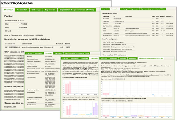 Figure 2.