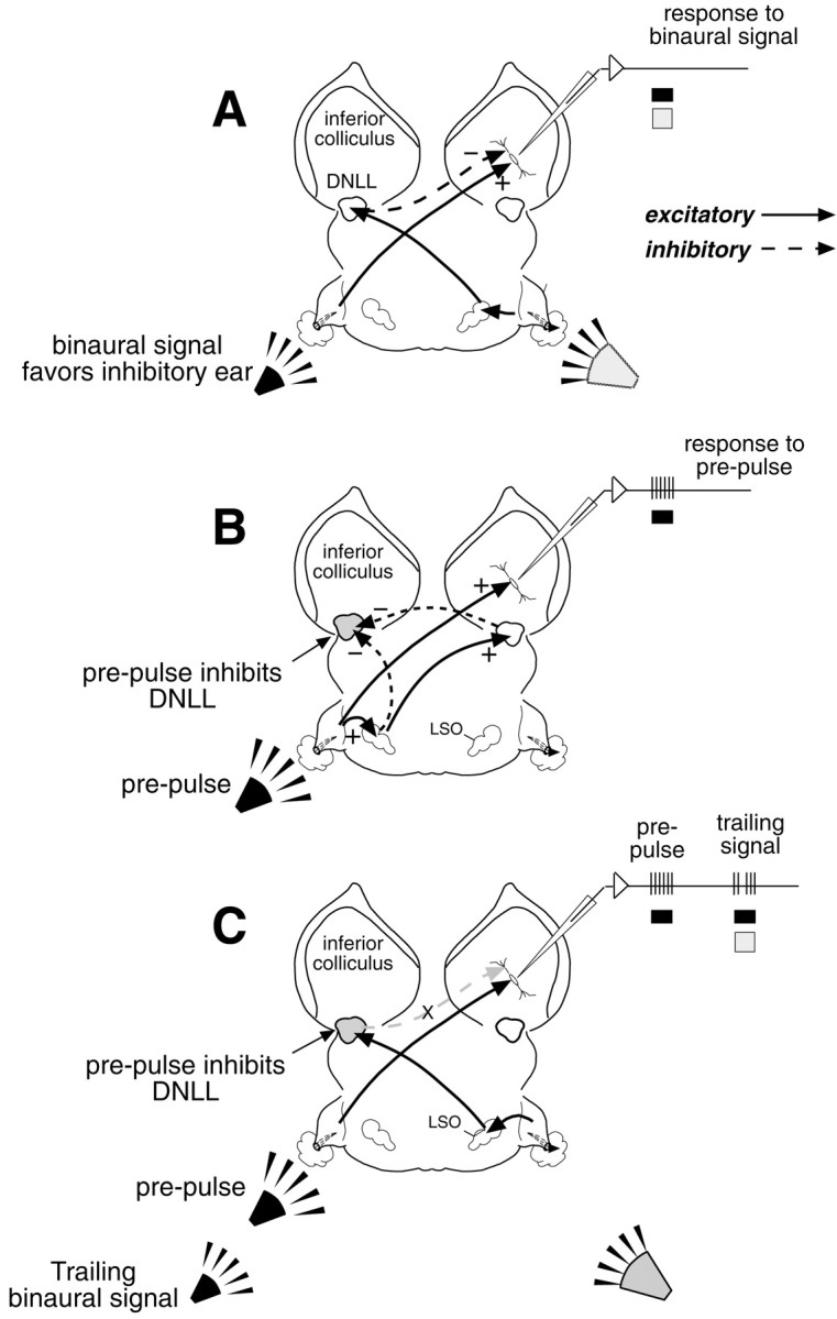 Fig. 10.