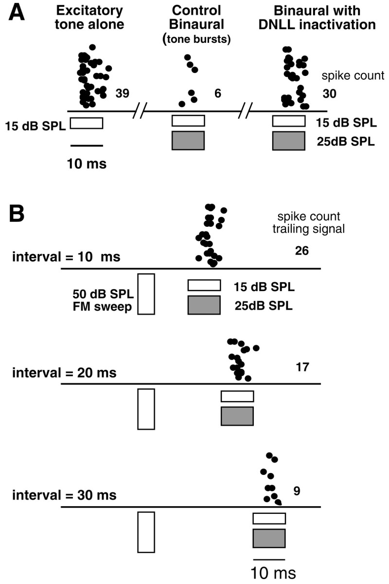 Fig. 13.