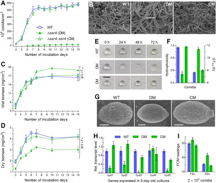 FIG 2