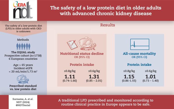 Graphical Abstract