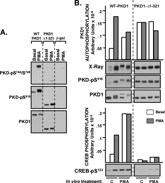 FIGURE 4.