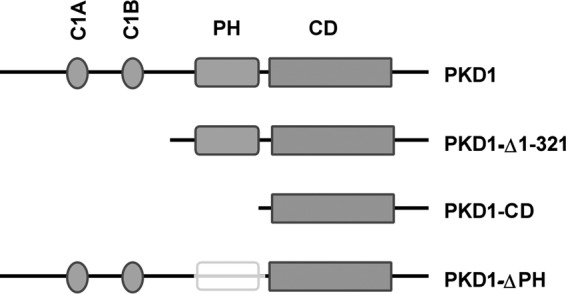 FIGURE 1.