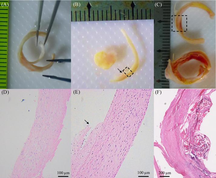 Fig. 9