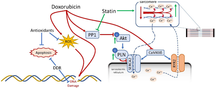 Figure 4