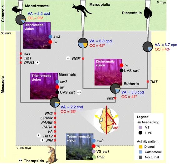 Fig. 3