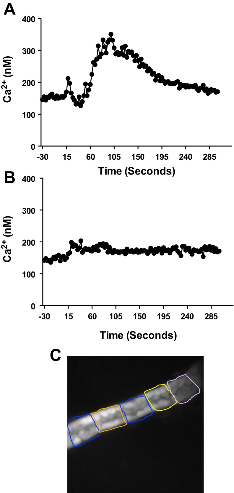 Fig. 2.