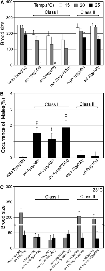 Figure 5.—