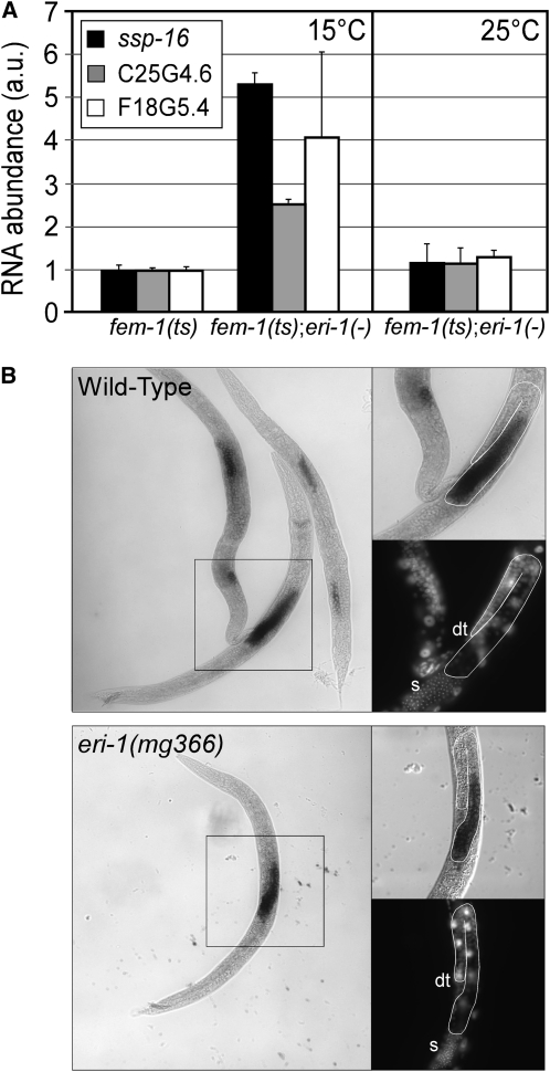 Figure 4.—