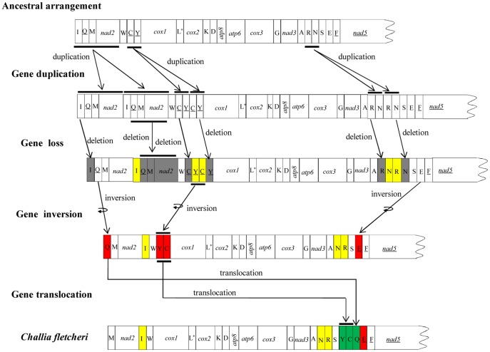 Figure 6