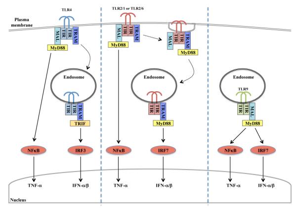 Figure 9