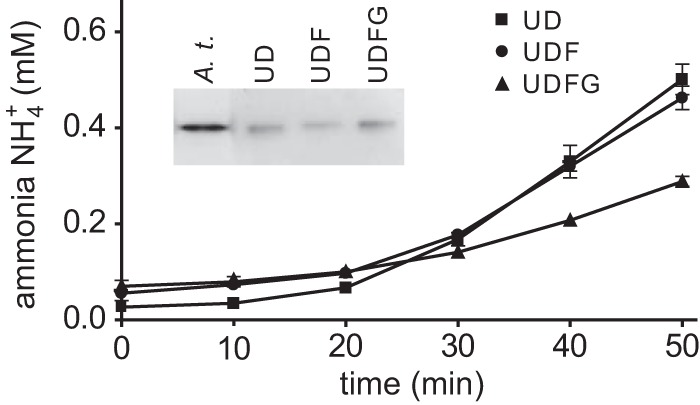 Figure 5.