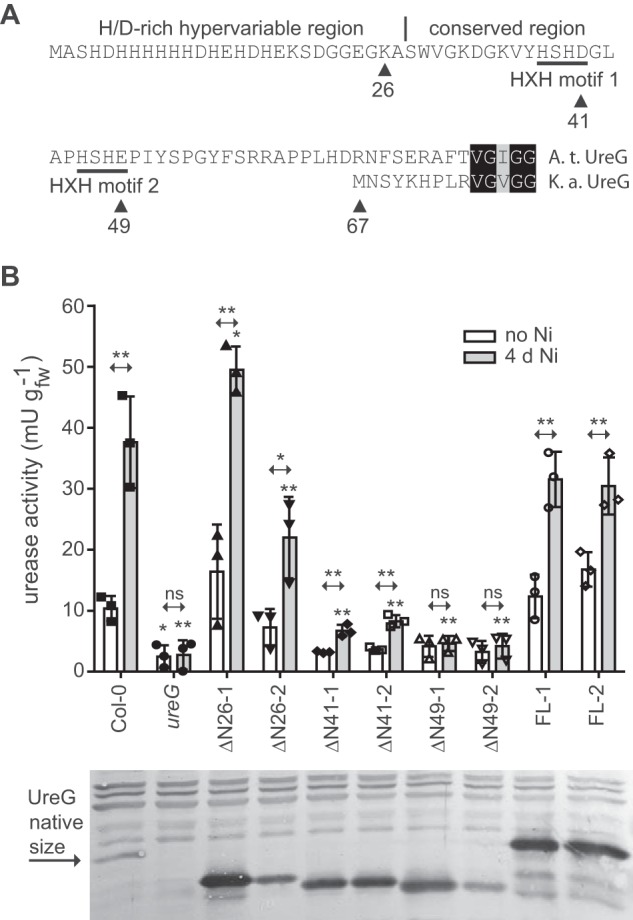 Figure 7.