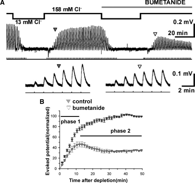 FIG. 5.