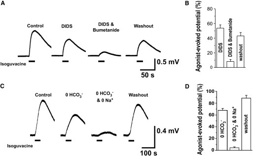 FIG. 8.