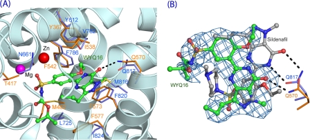 FIGURE 6.