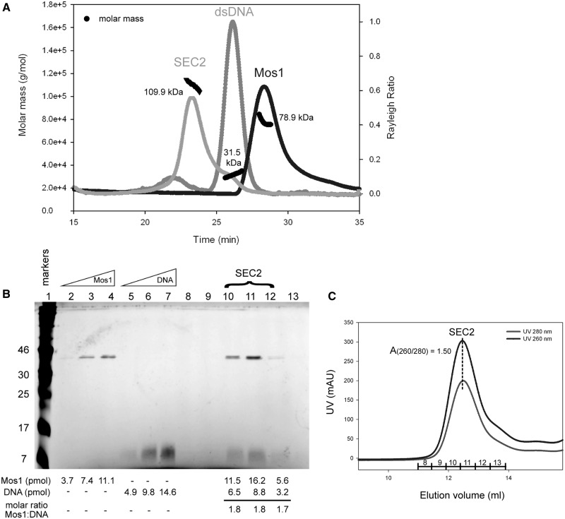 Figure 5.