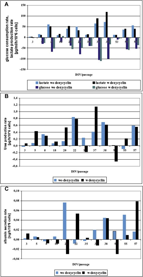 Figure 12