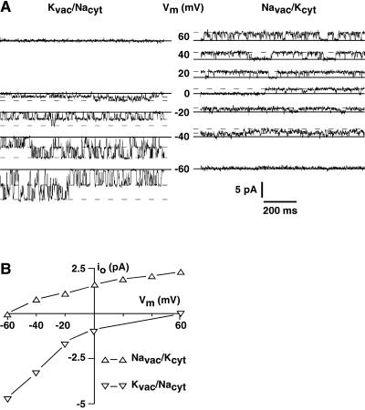 Figure 7.